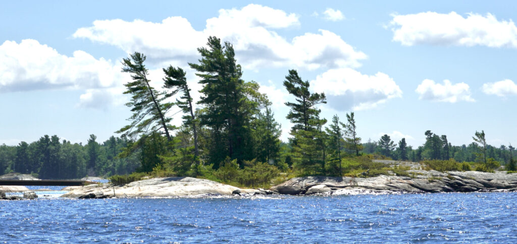 Pine trees and weathered granite island in Georgian Bay Ontario